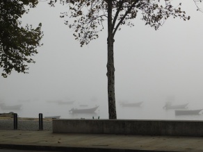 Porto Fog